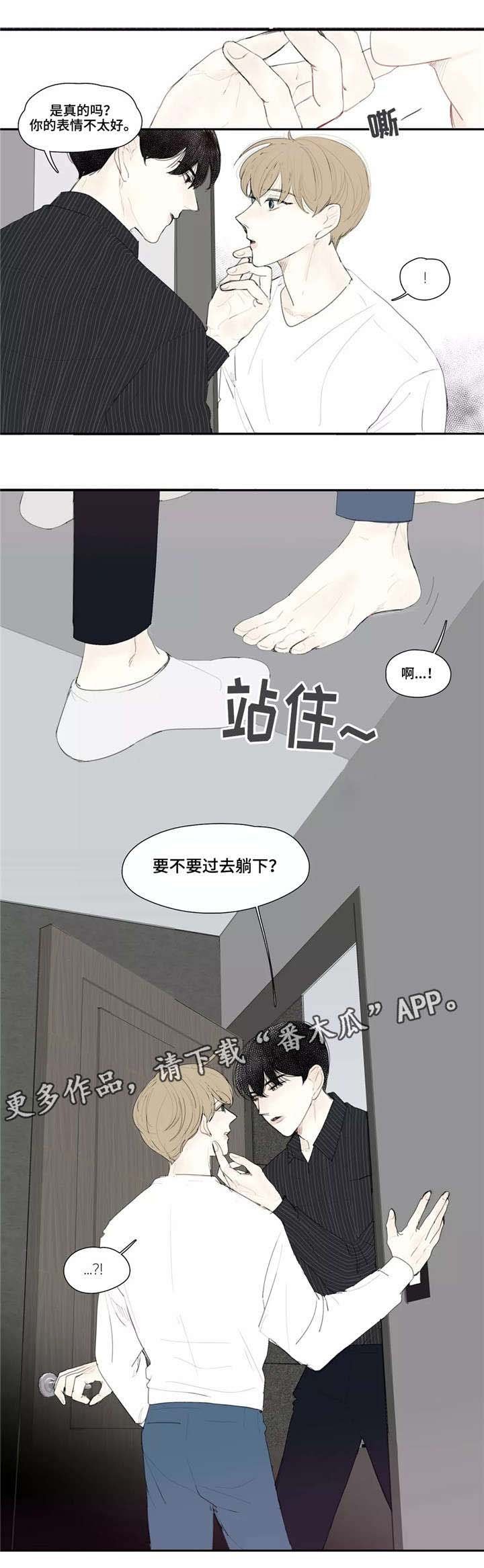 第12章：长相