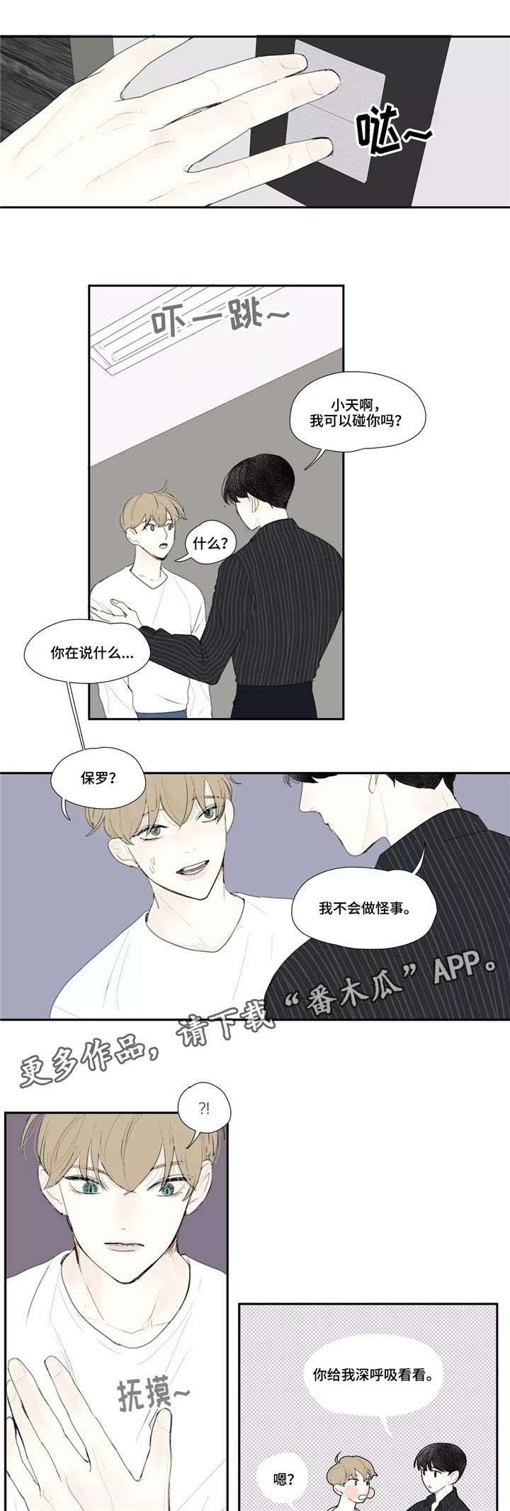第12章：长相