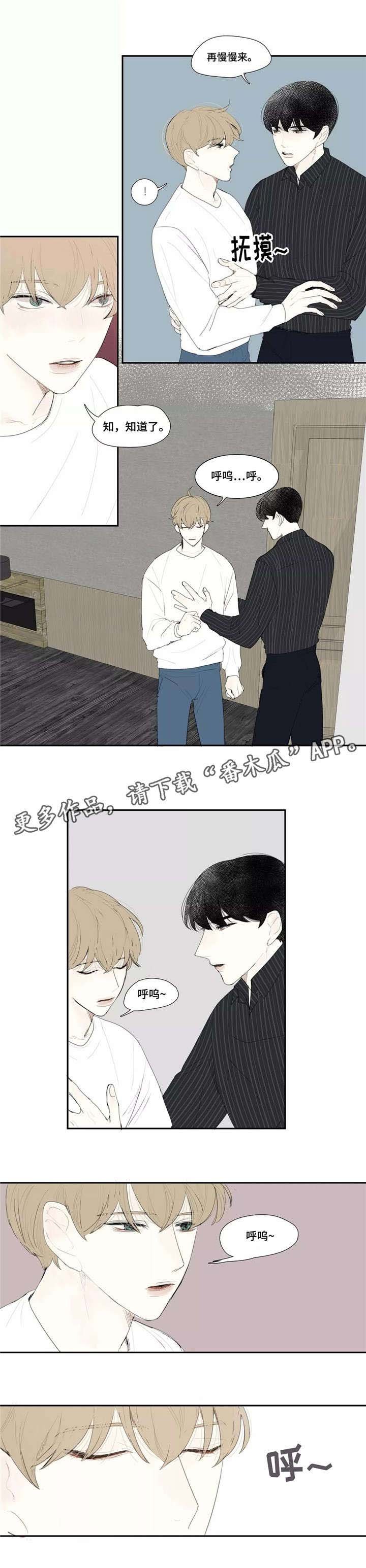第12章：长相