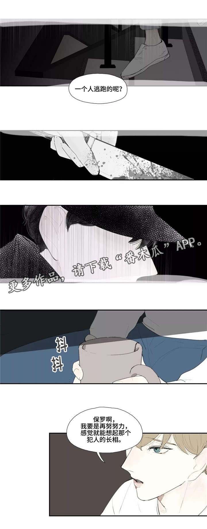 第12章：长相