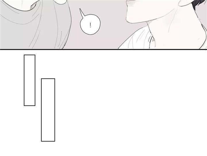 第33章：录像