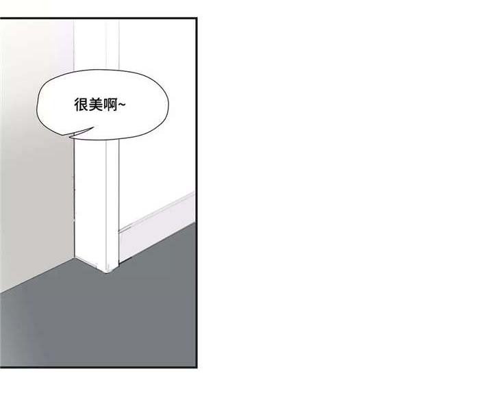 第33章：录像