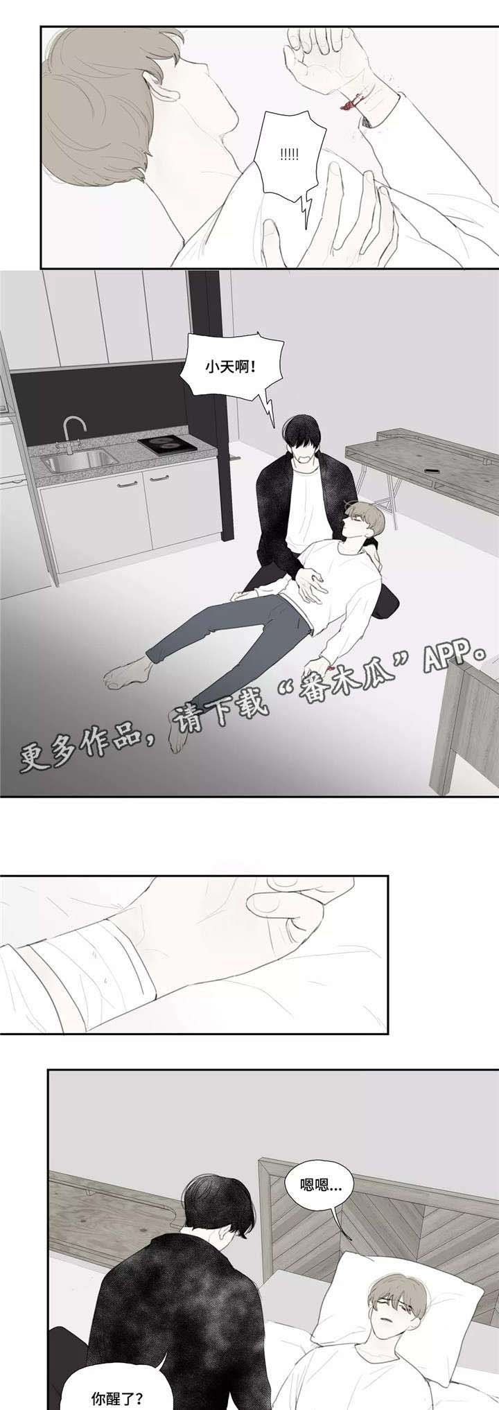 第37章：自残
