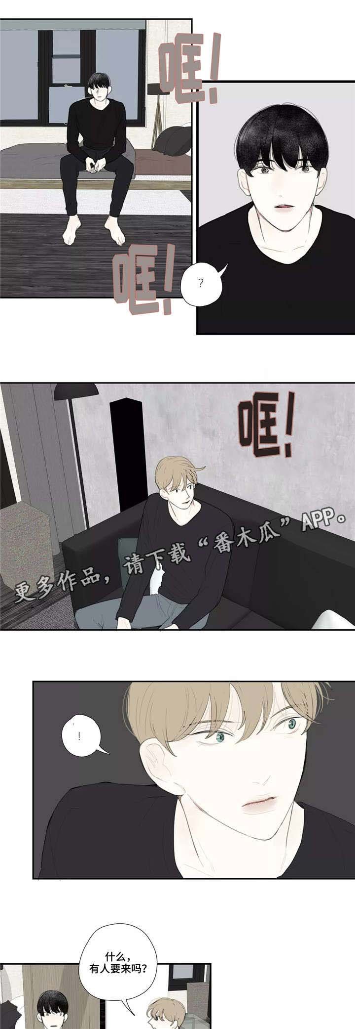 第44章：随意