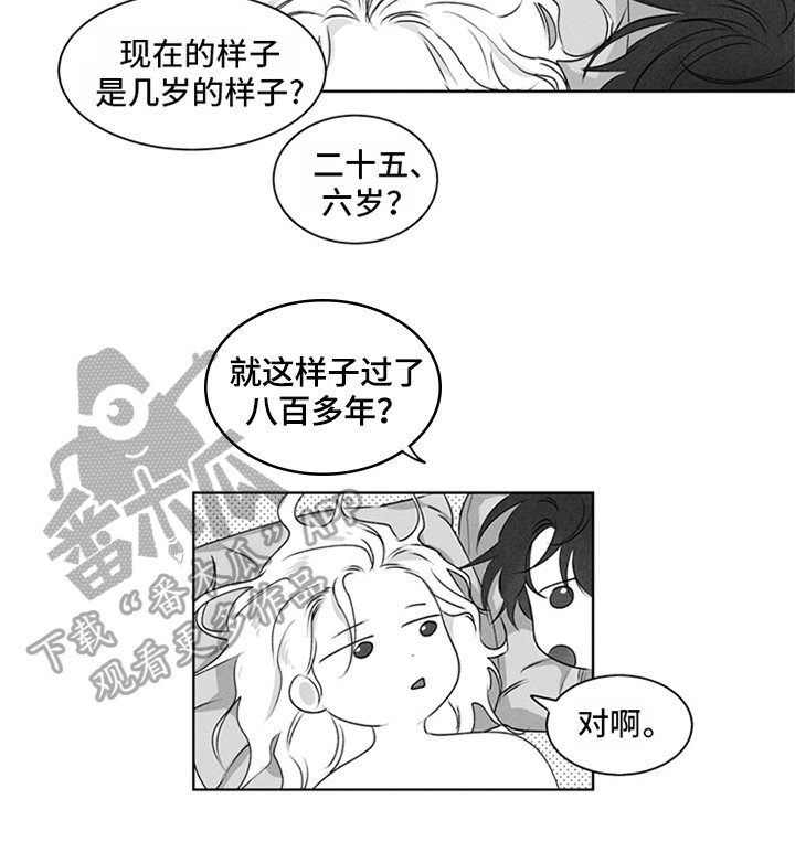 第11章：表达