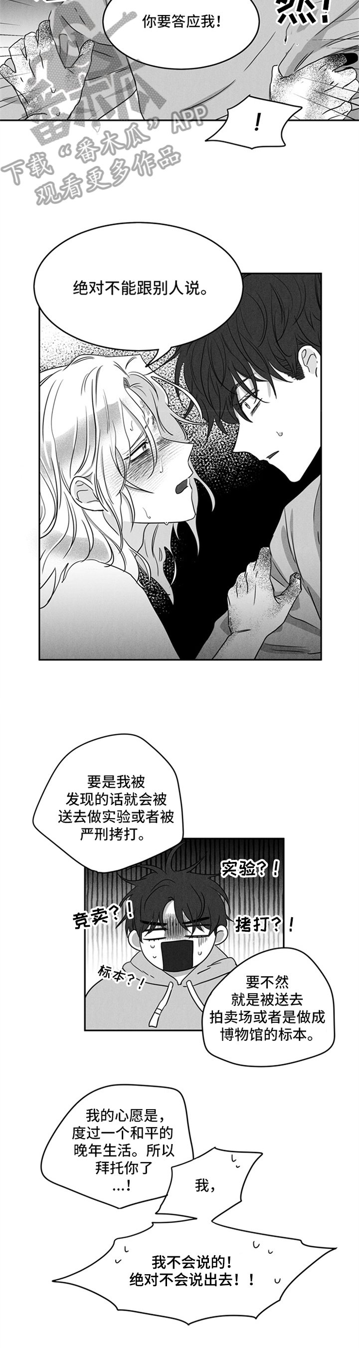 第6章：约定
