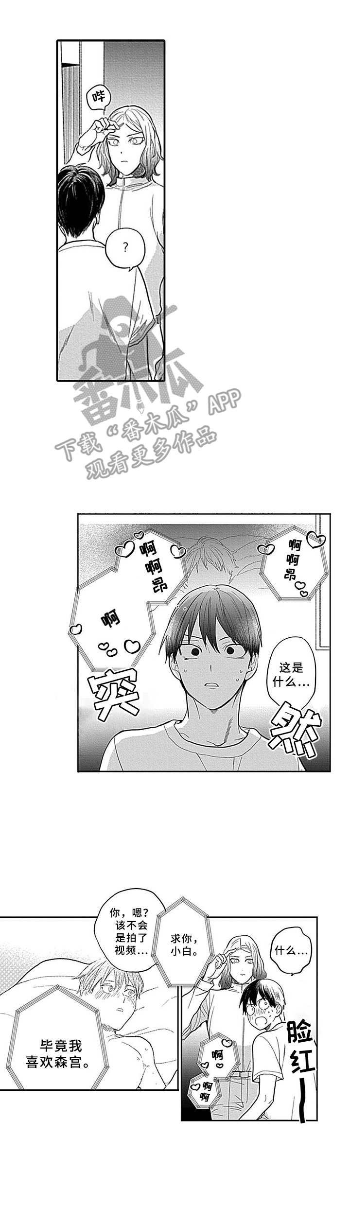第13章：结束了