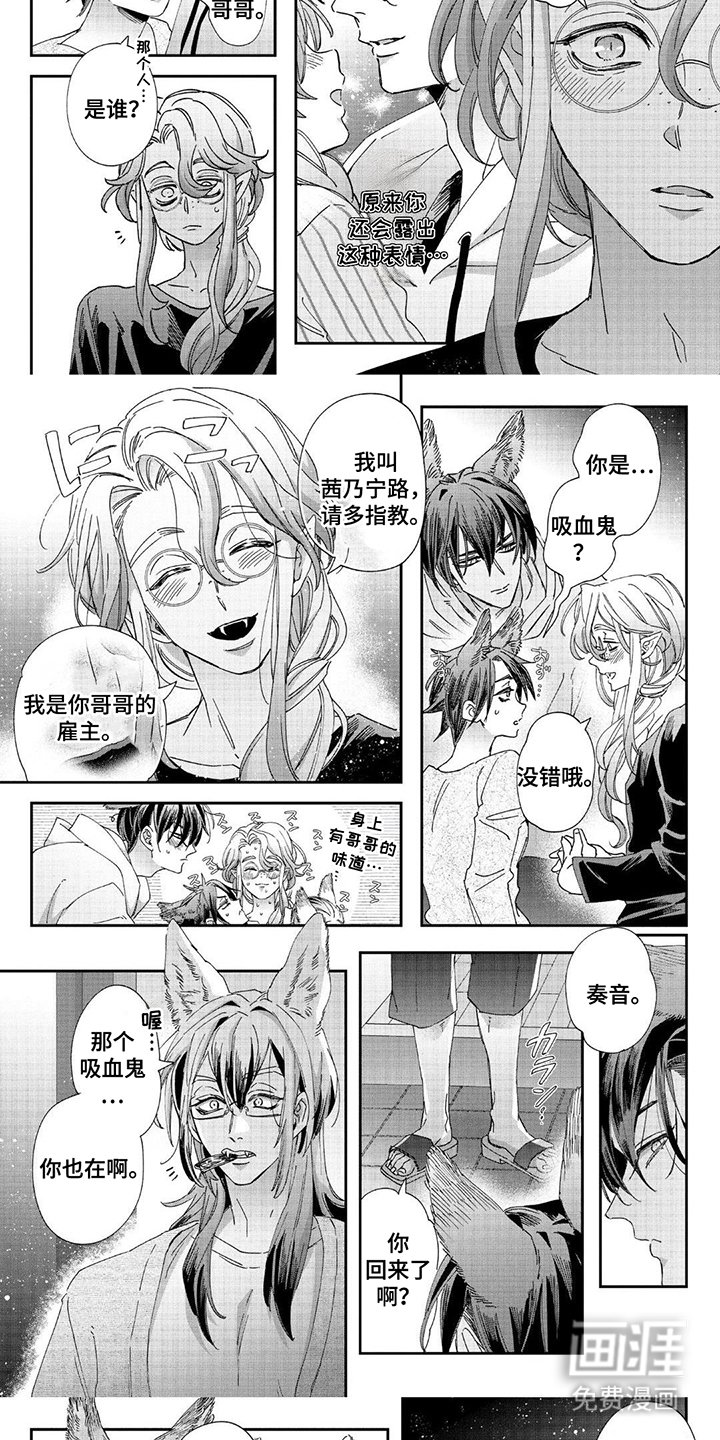 第11章：拜访