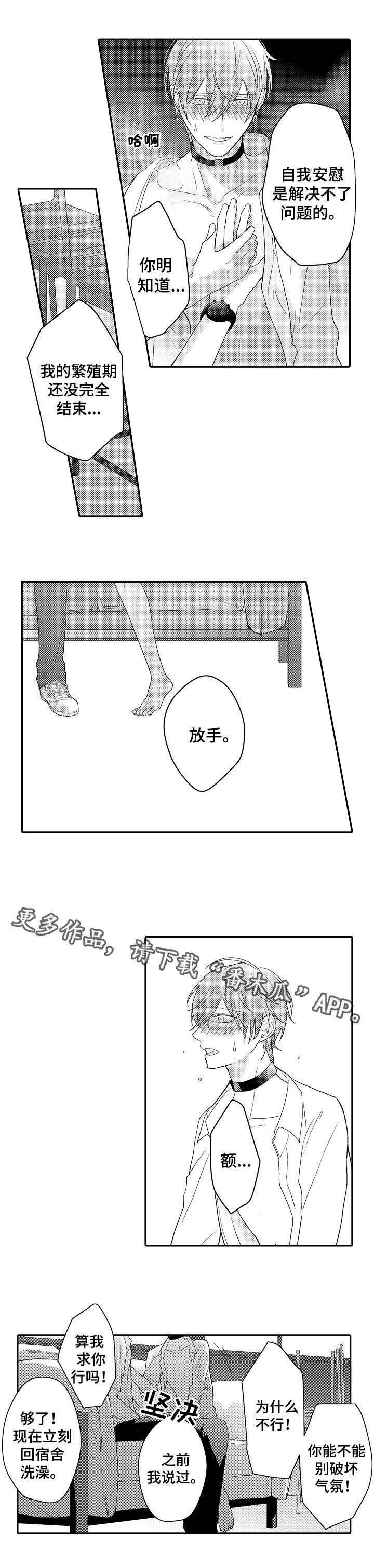第10章：真心