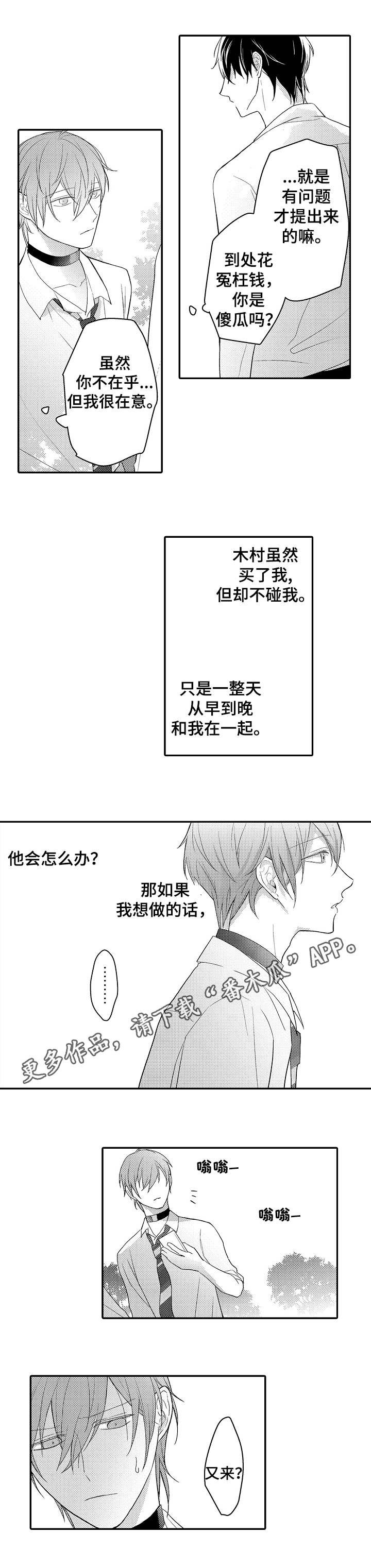 第11章：土豪