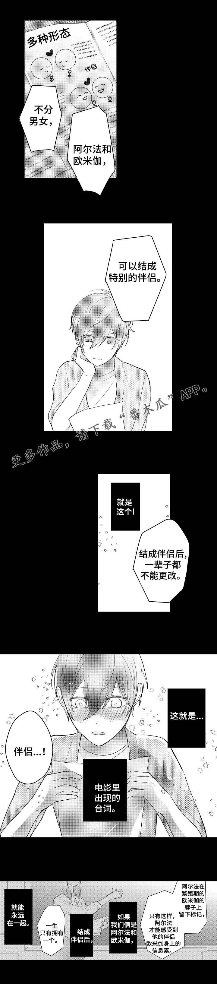 第14章：欧米伽