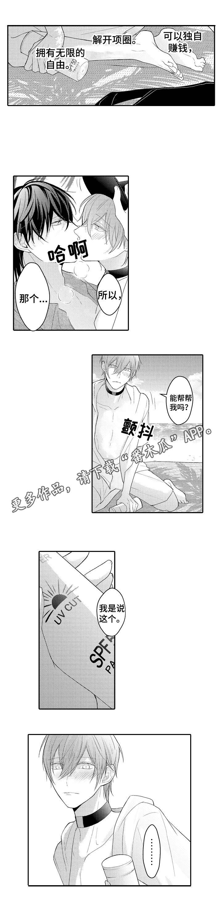 第18章：何去何从