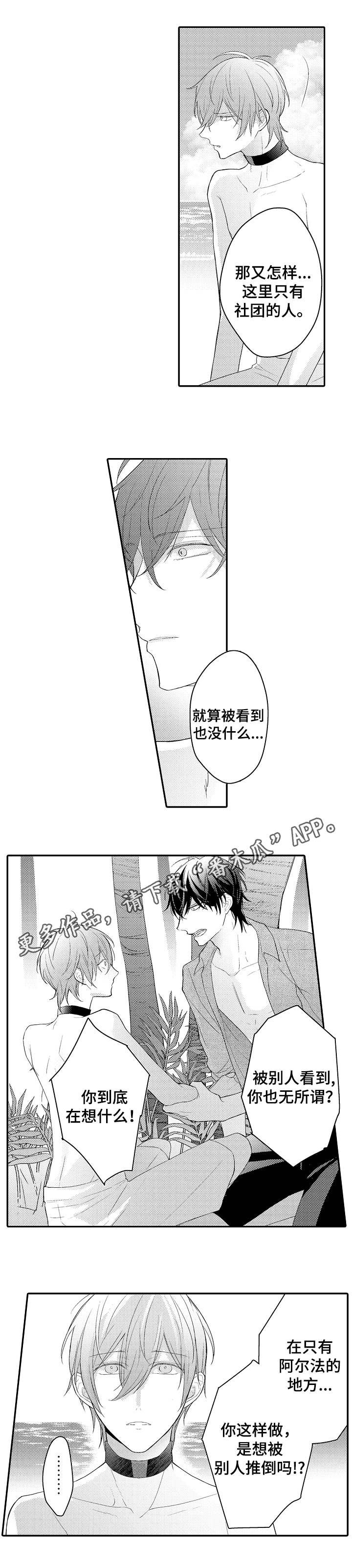 第18章：何去何从