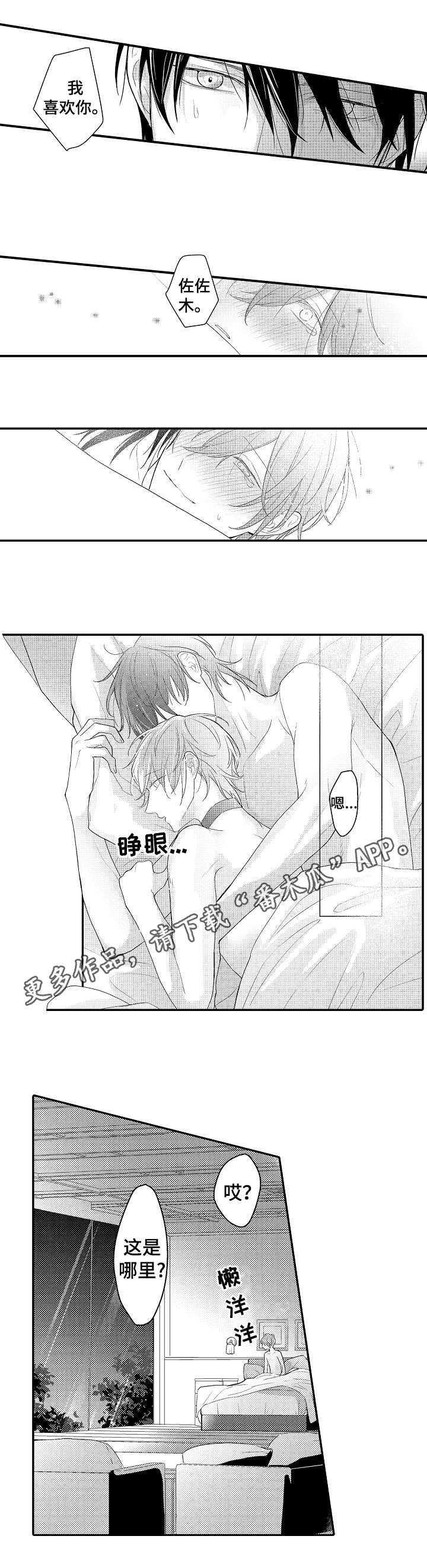 第19章：照片