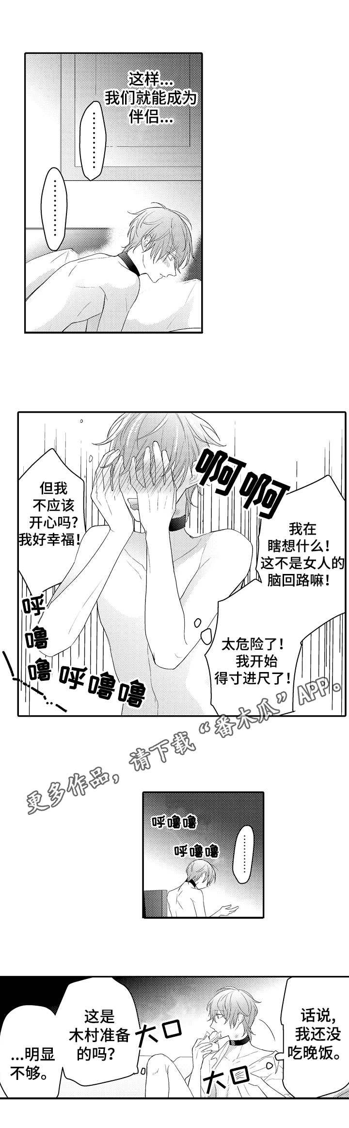 第19章：照片