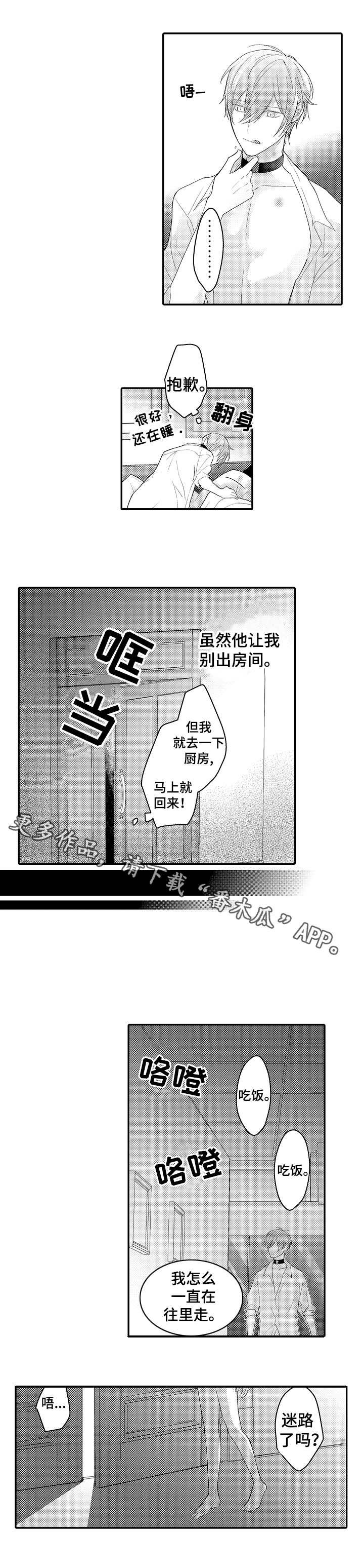 第19章：照片