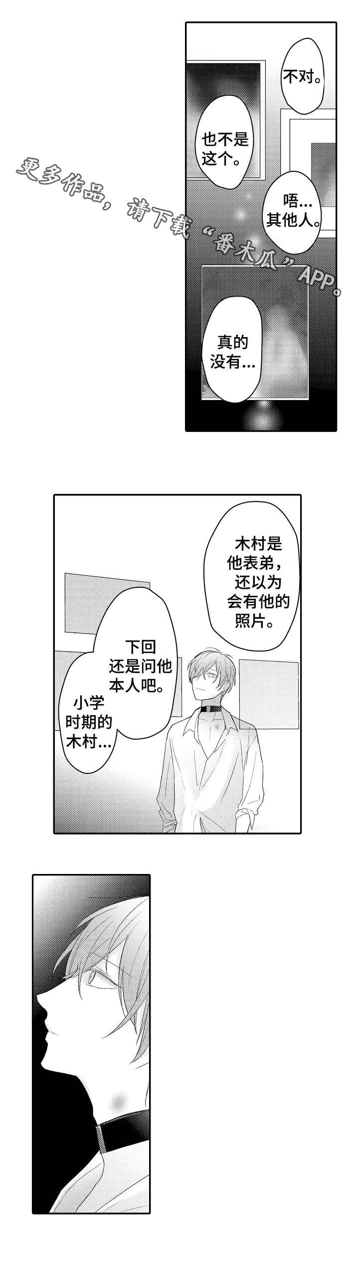 第19章：照片