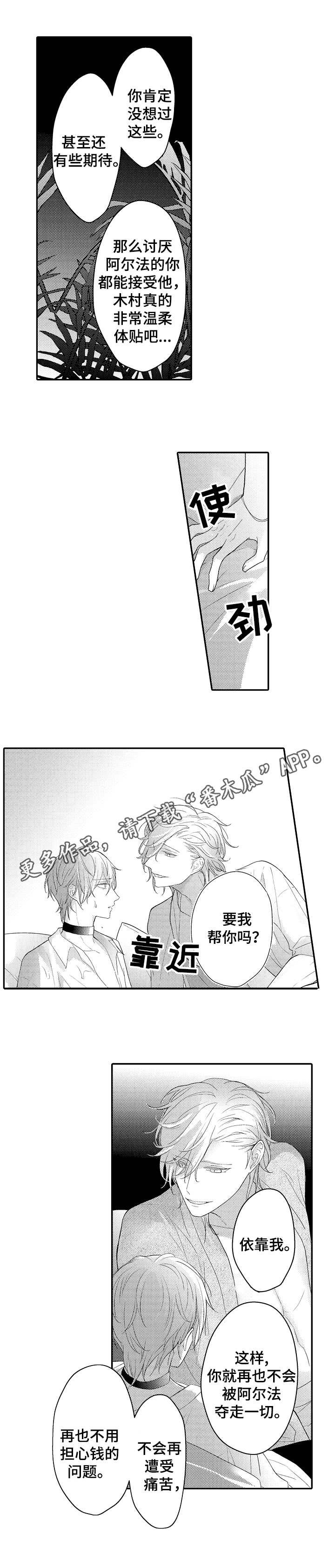 第21章：选择权