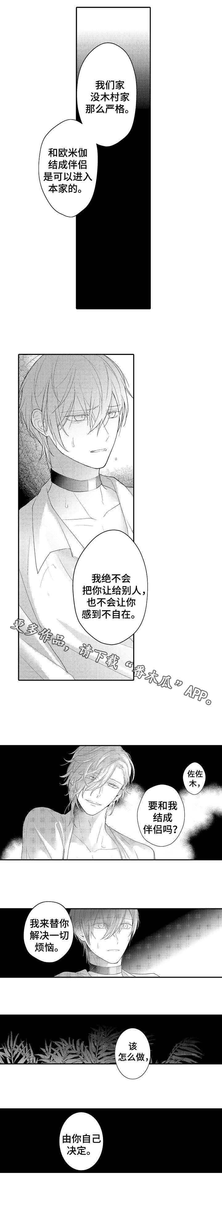 第21章：选择权