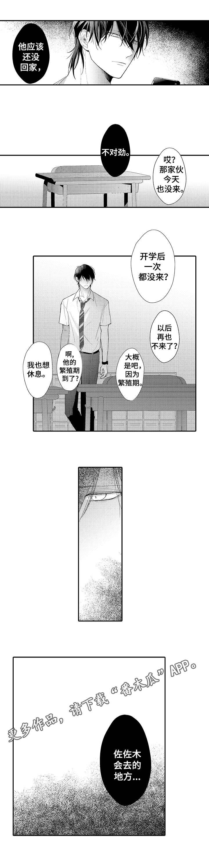 第21章：选择权
