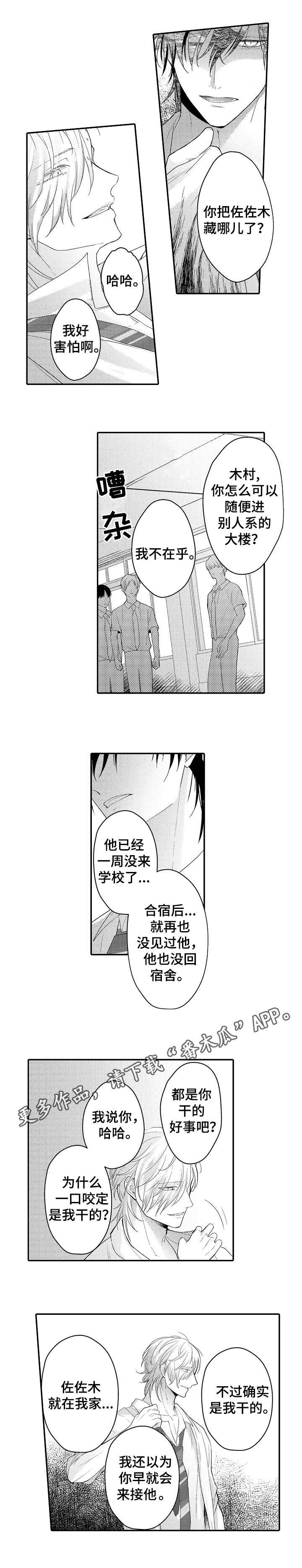 第21章：选择权