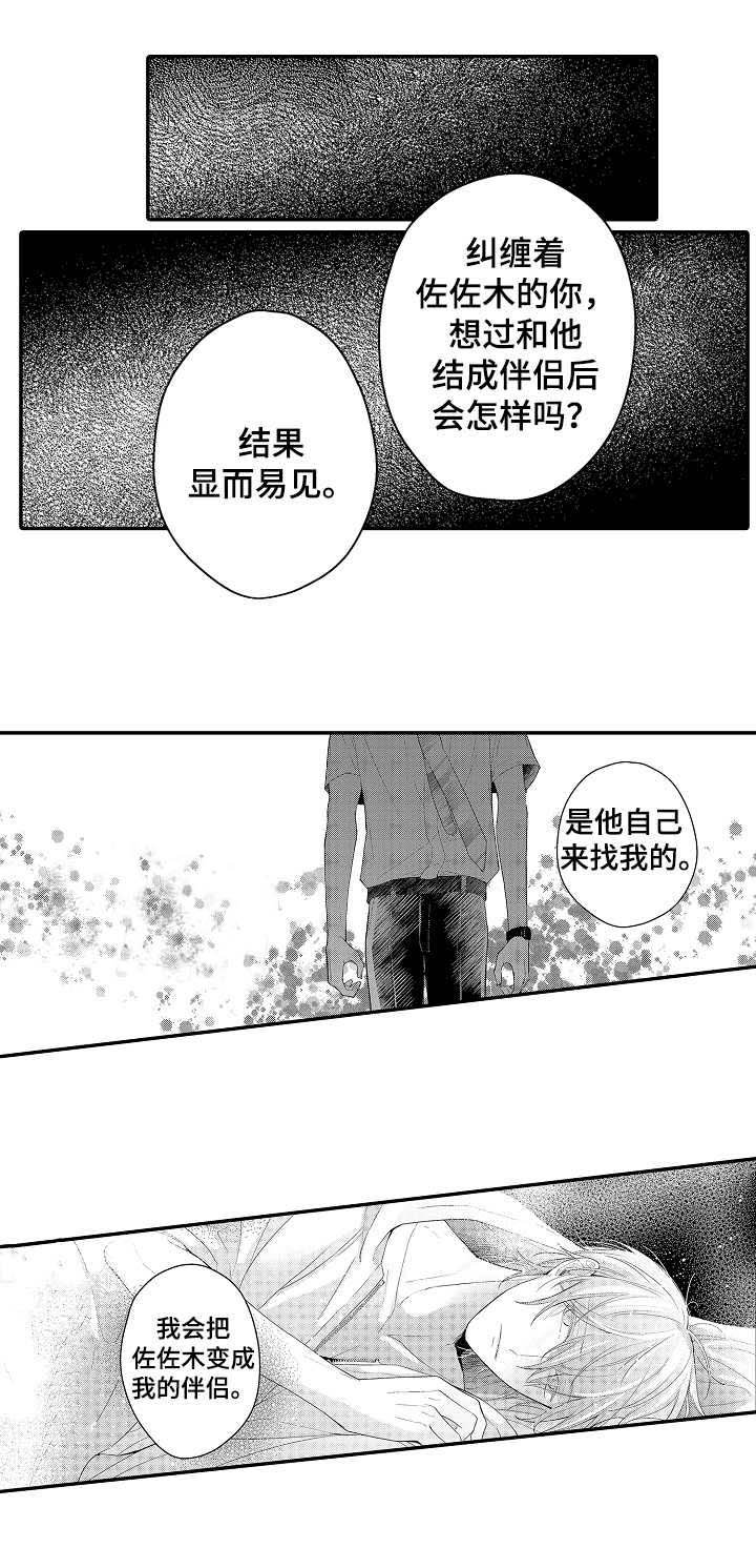 第21章：选择权