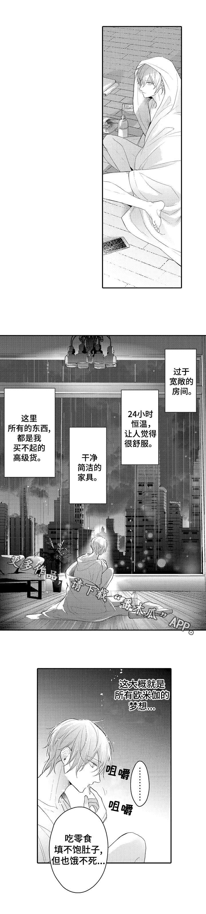 第22章：宠物