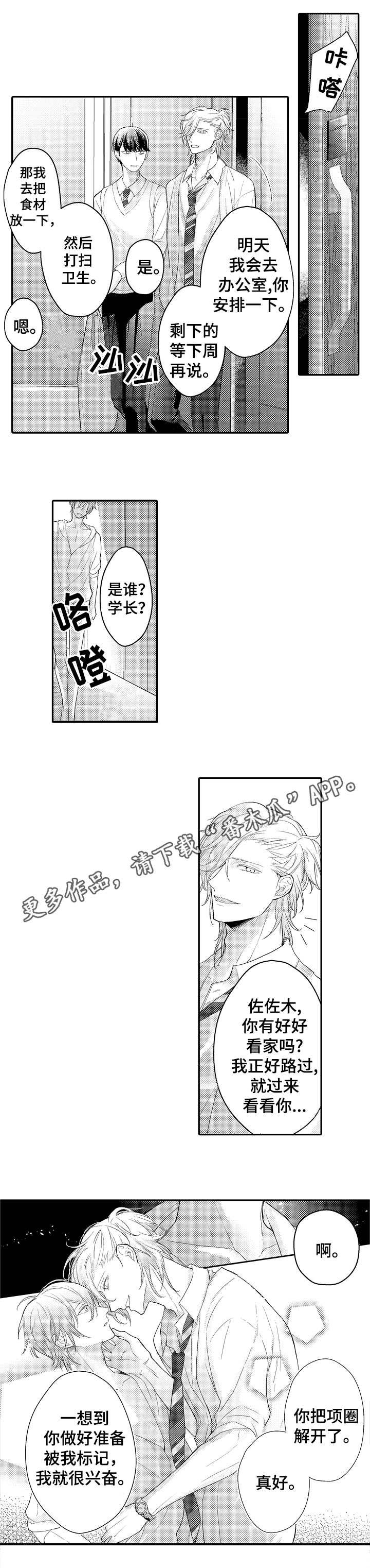 第22章：宠物