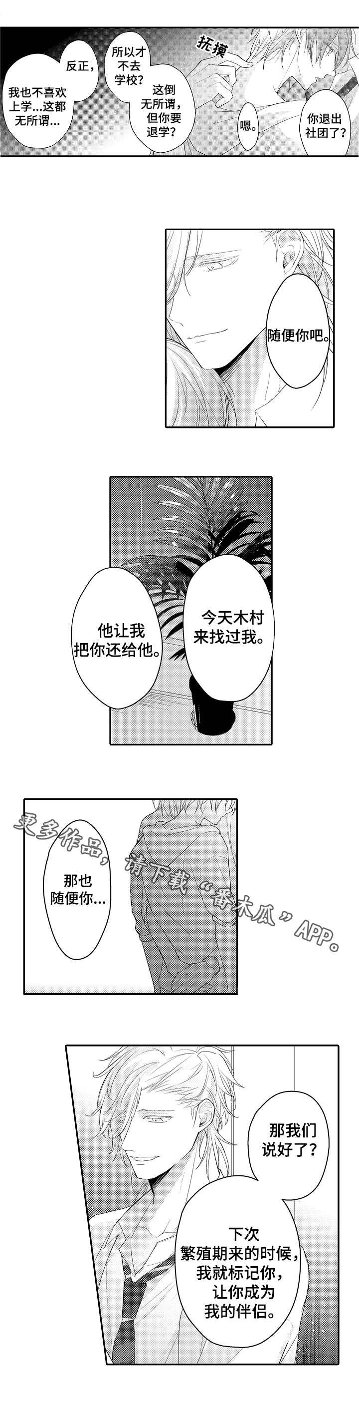 第22章：宠物