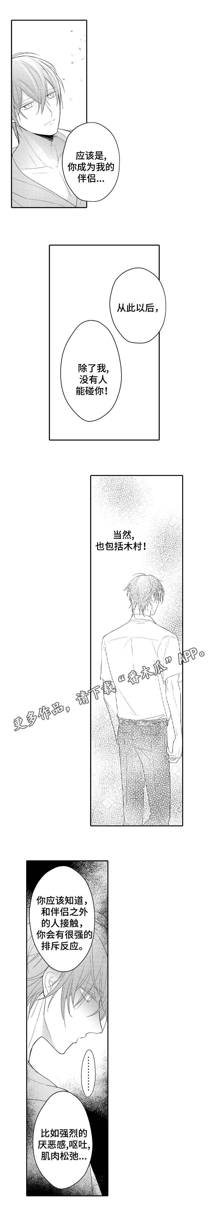 第22章：宠物