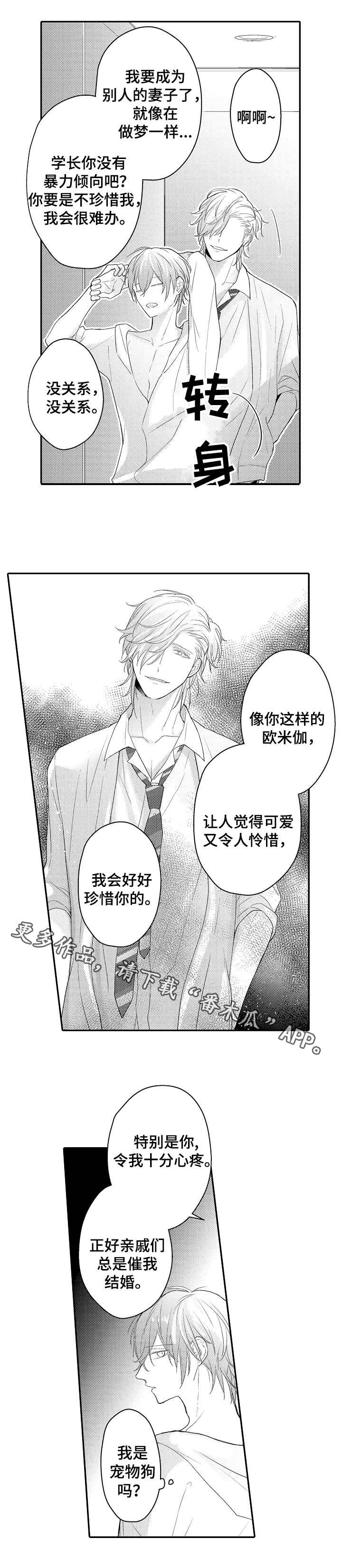 第22章：宠物