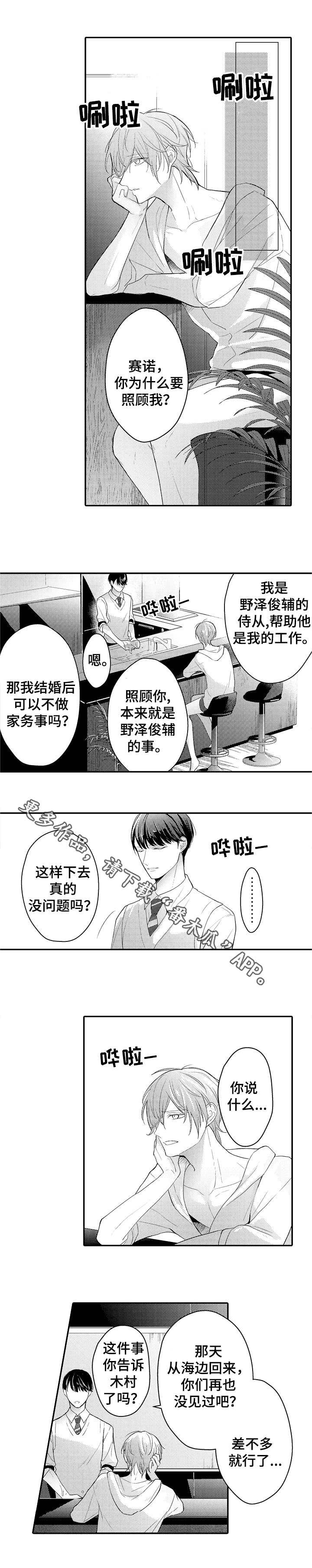 第22章：宠物
