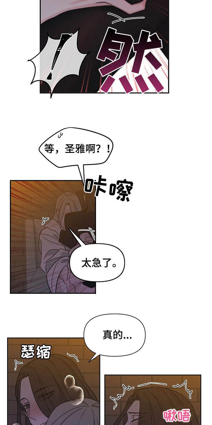 第18章：保护者