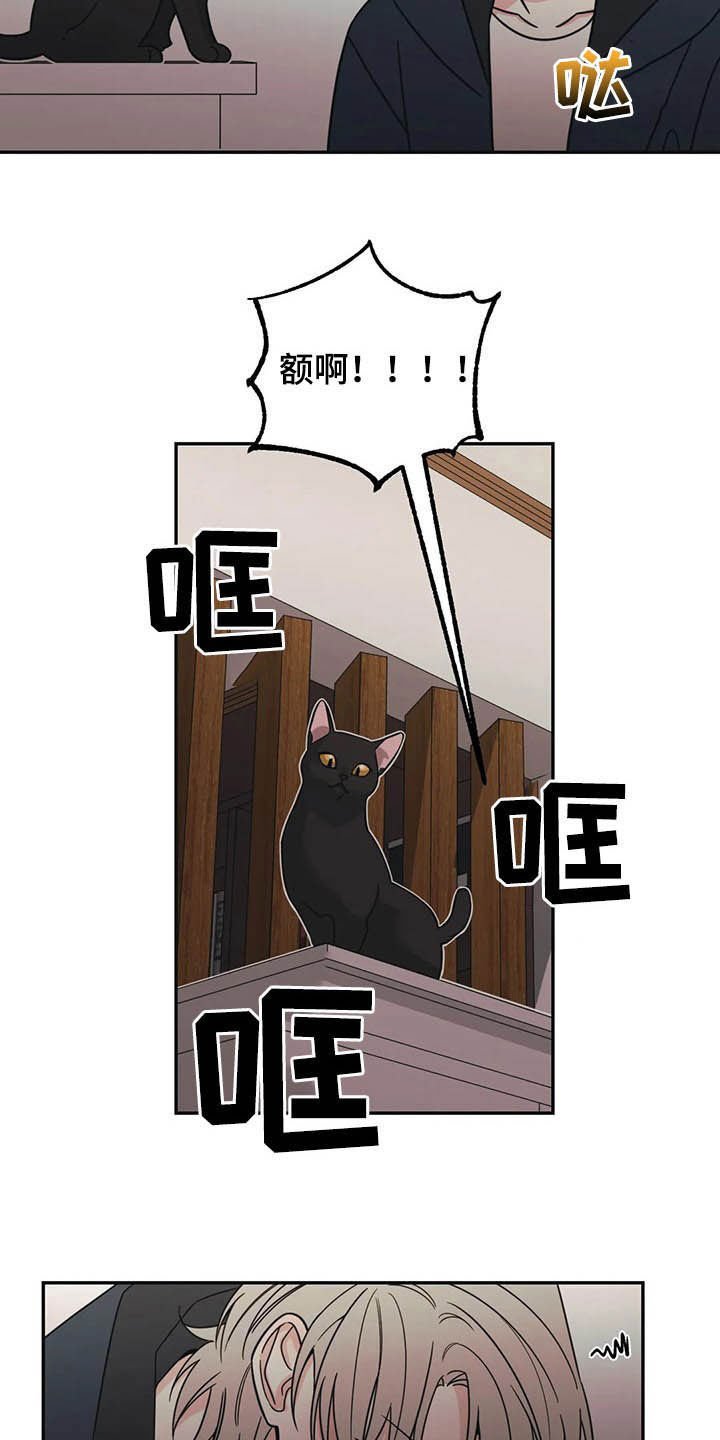 第20章：负责