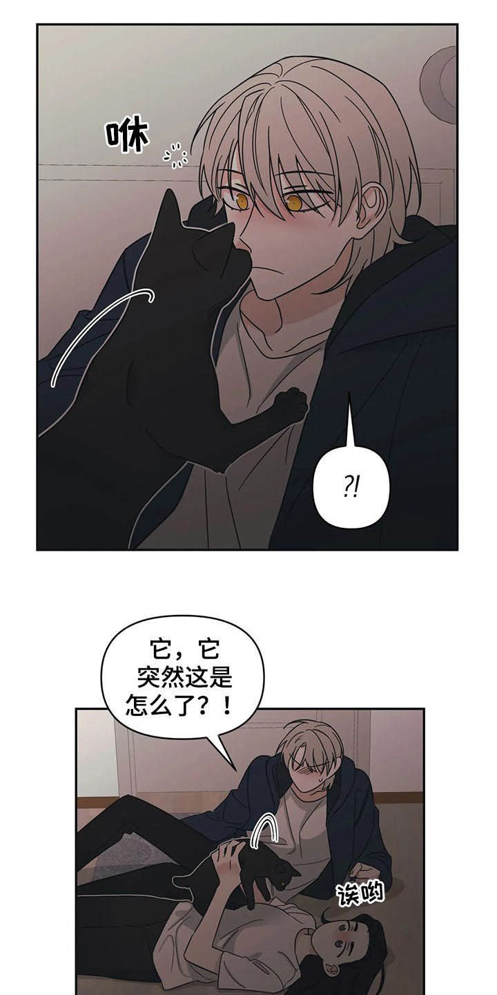 第20章：负责