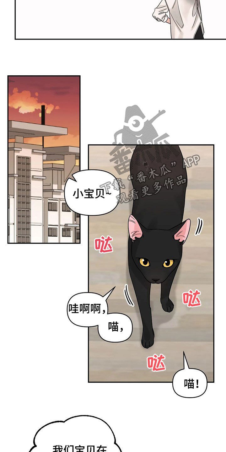 第27章：又开始了