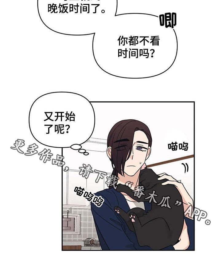 第27章：又开始了