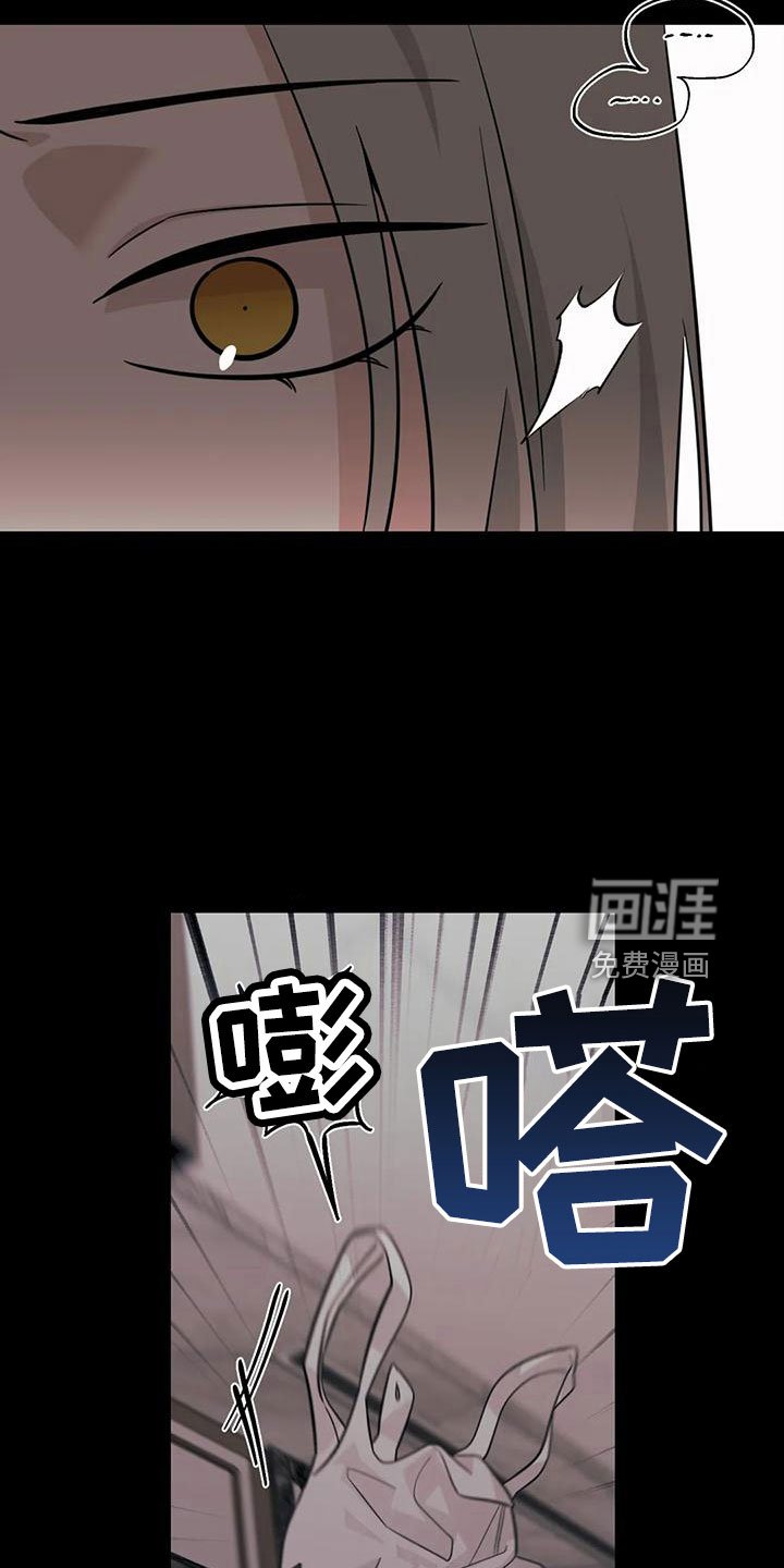 第82章：【第二季】回来了？