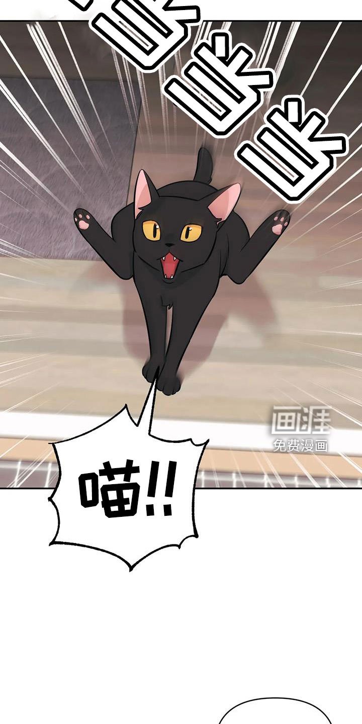 第94章：【第二季】嫉妒
