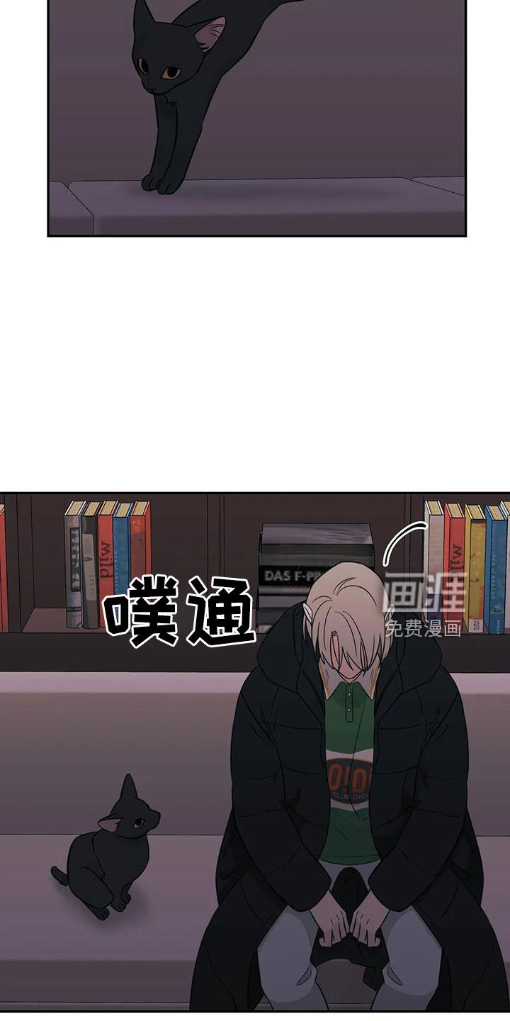 第95章：【第二季】回来了