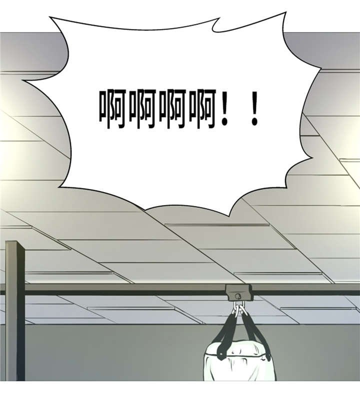 第14章：冠军苗子