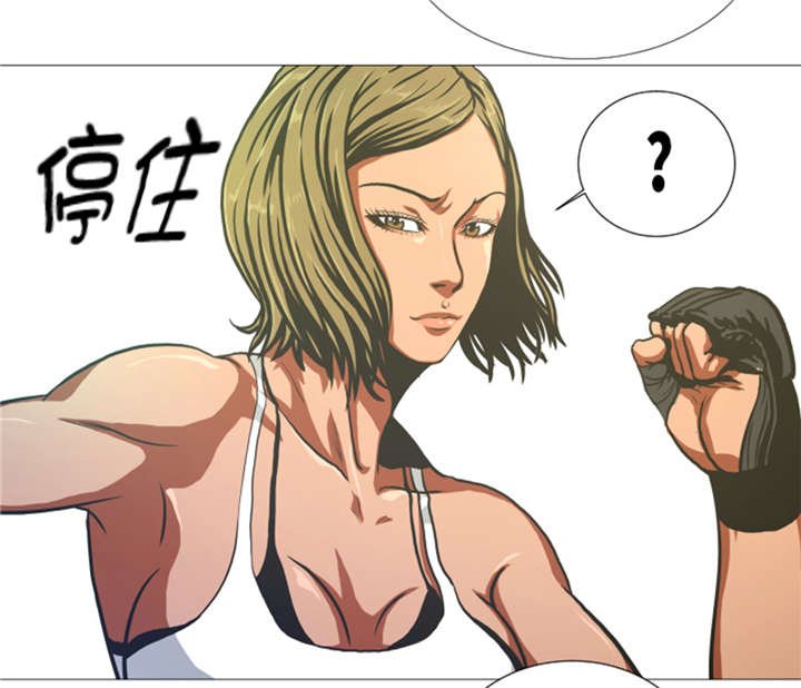 第14章：冠军苗子