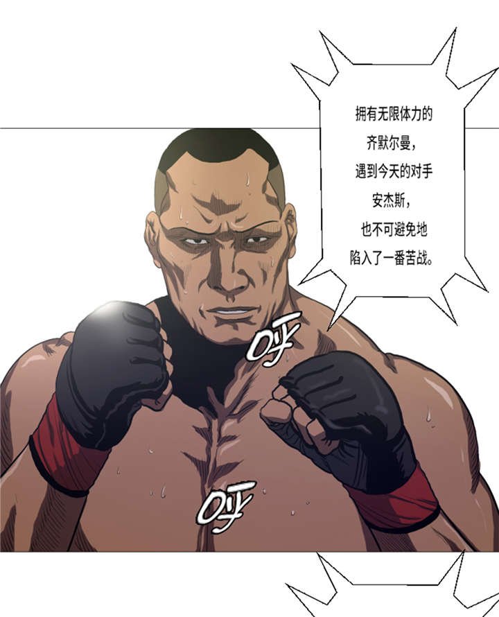 第16章：十字固定