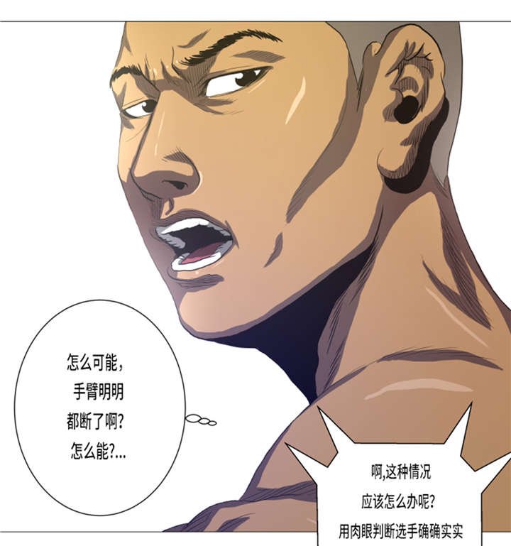 第16章：十字固定