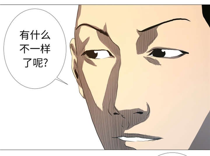 第31章：比我强的人