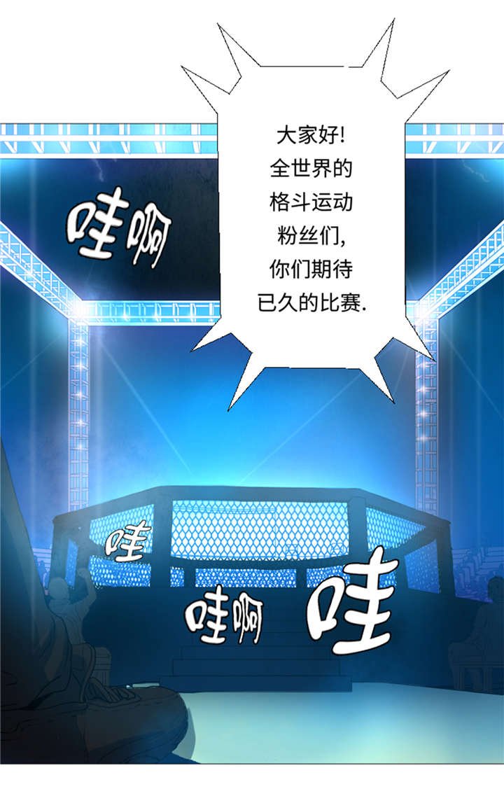 第31章：比我强的人
