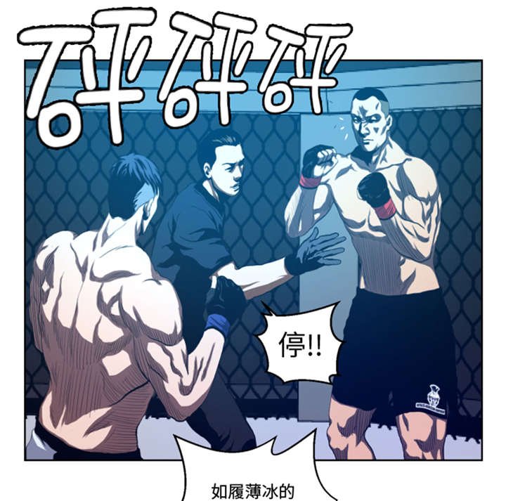 第34章：弱点