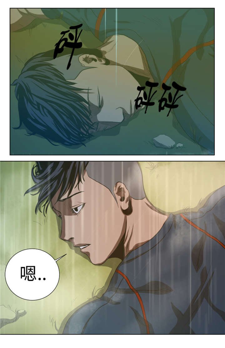 第36章：真的是梦境？