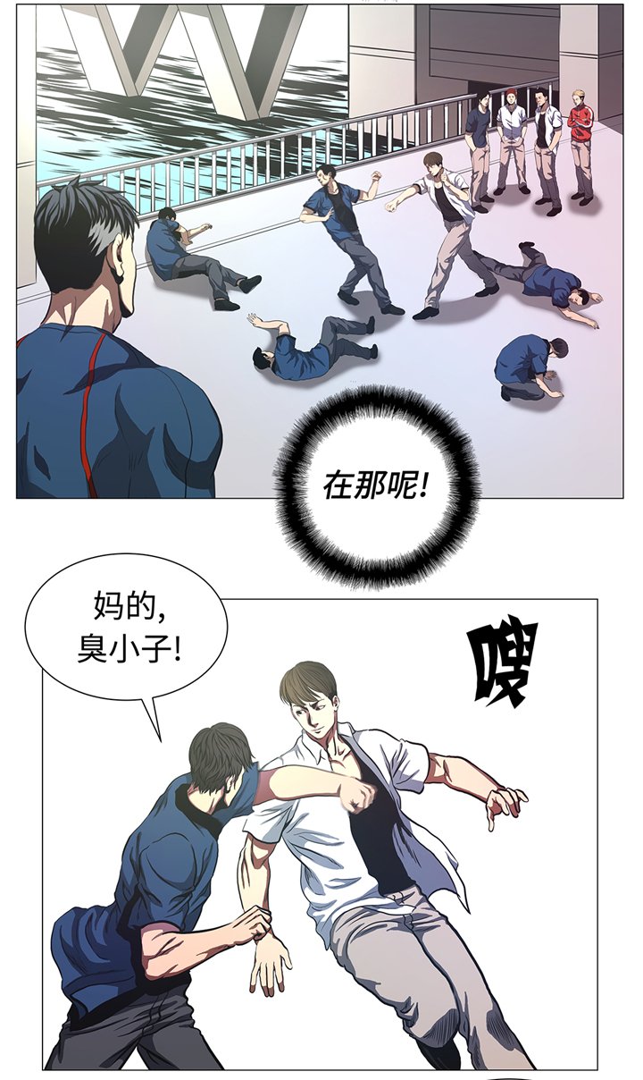 第80章：专业的