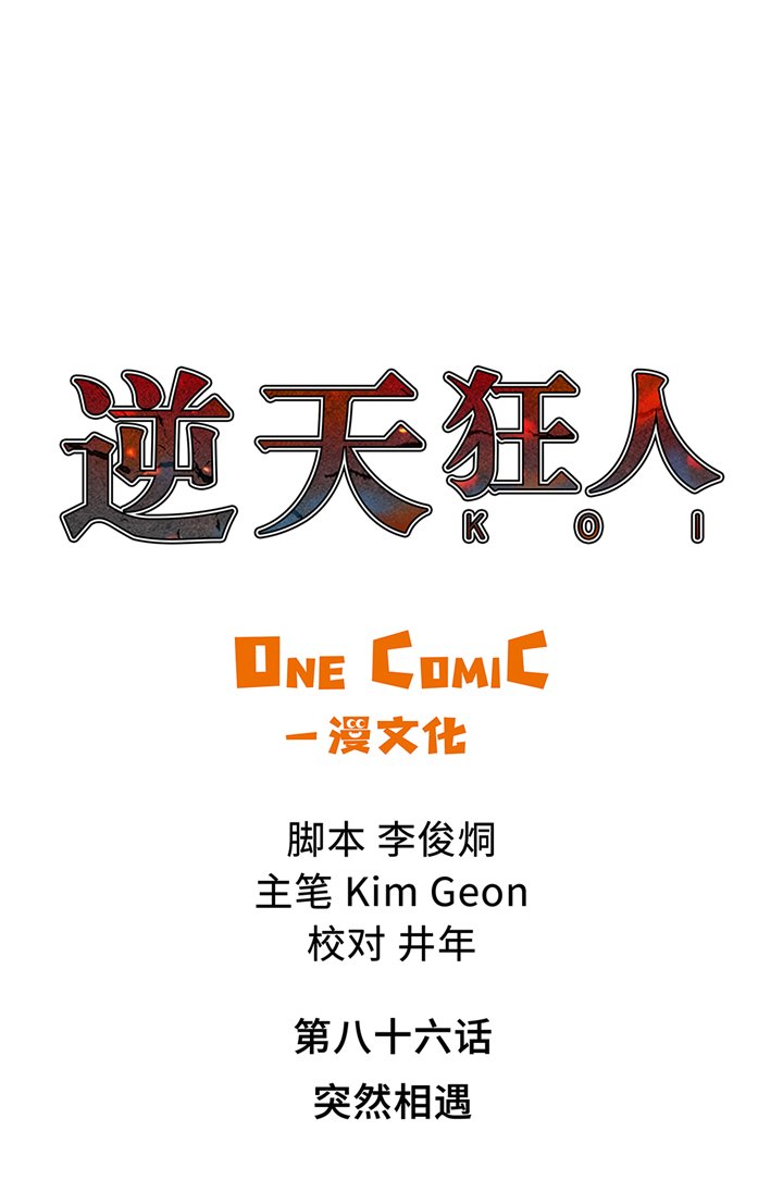第86章：突然相遇